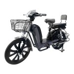 22寸百灵王 前后护杠 后折叠货架 载重款动力型家用电动自行车400W/800W电机